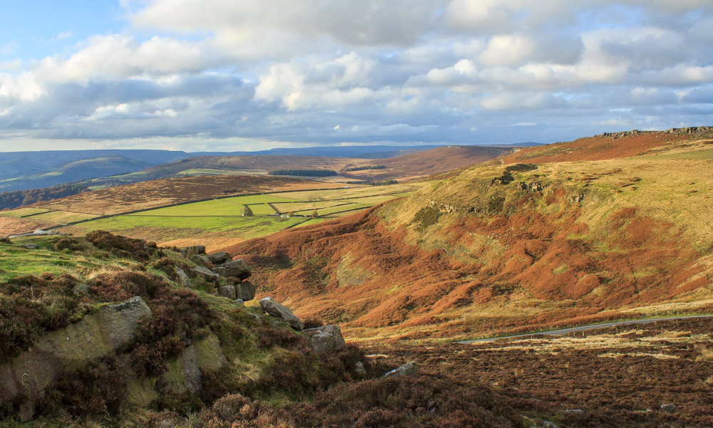 Callow Bank Callow Bank